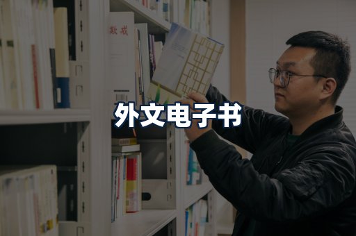 外文电子书